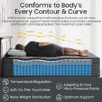 12 inch Firm Queen Mattress, Hybrid Mattress with Extra Back and Lumbar Hip Support, Pressure and Back Pain Relief, Fiberglass Free, 365 Nights Trial,10 Years Warranty