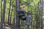 Summit Viper SD Climbing Treestand  Lightweight Aluminum, Foam Padded Seat, 300 lbs Capacity, Includes Safety Harness