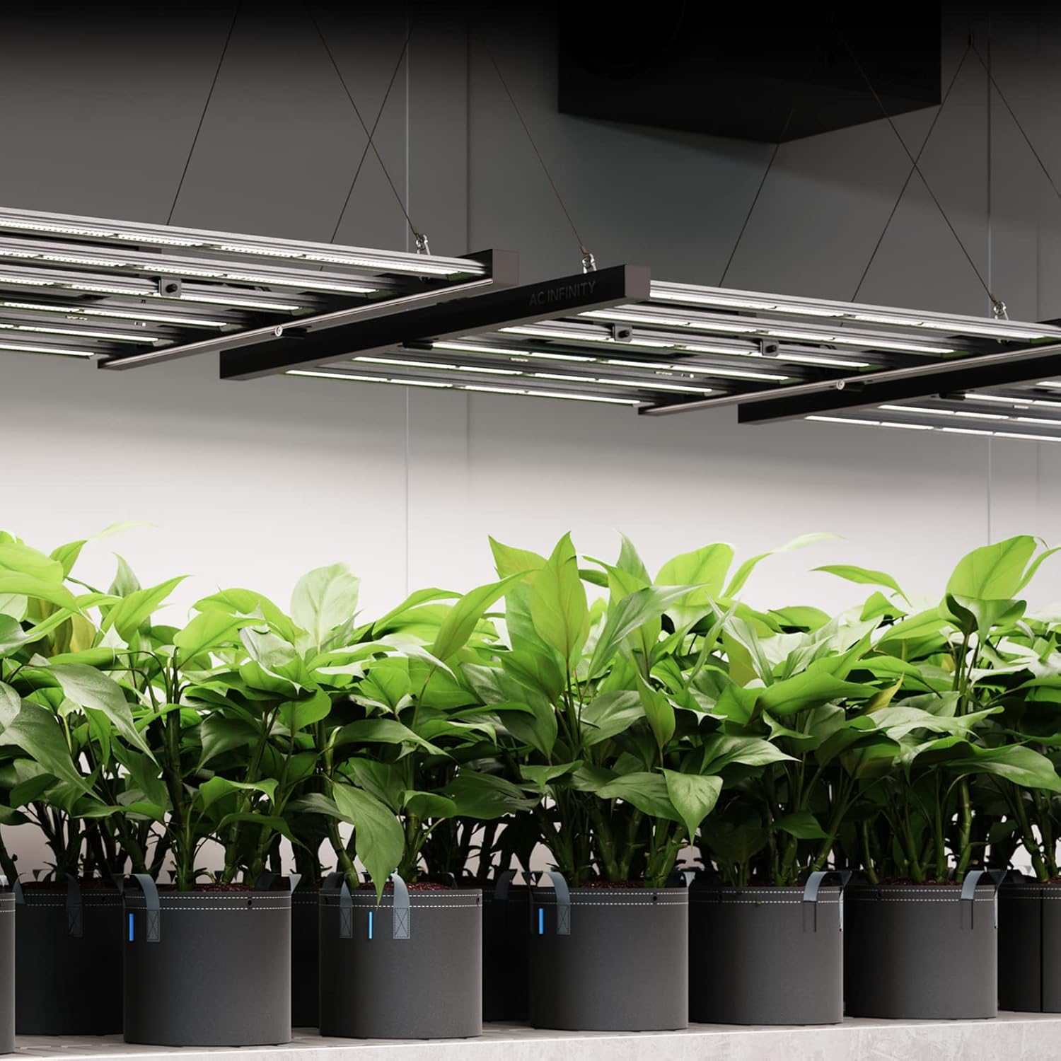 AC Infinity IONFRAME EVO3  Samsung LM301H EVO Bar LED Grow Light 2x4  840 Diodes  with Schedule Controller  280W Full-Spectrum Commercial Plant Lights for Indoor Growing in Grow Rooms & Greenhouses