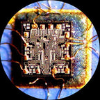 AmScope SE400-X 5X-10X Binocular Boom Arm Stereo Microscope with LED Gooseneck Light