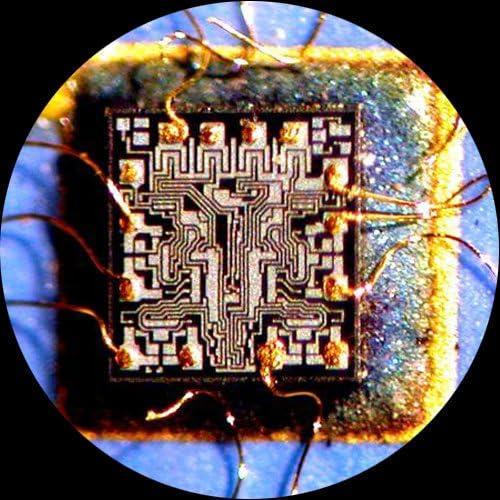 AmScope SE400-X 5X-10X Binocular Boom Arm Stereo Microscope with LED Gooseneck Light