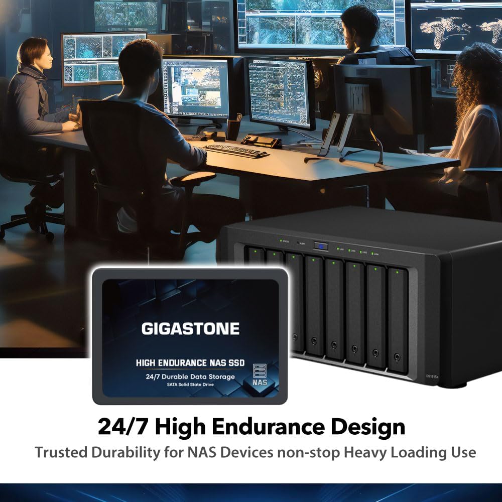 【NAS Certified】 GIGASTONE High Endurance SSD 512GB (2-Pack) Up to 550MB/s TLC Flash with SLC Caching 24/7 Reliable for Gaming/PC/NAS SSD 5-Year Warranty 2.5" SATA Internal Solid State Drives RAID Disk