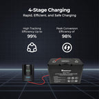 Renogy Solar Charge Controller Rover 40A 12V24V Auto Parameter DC Input MPPT Charge Controllers for Solar Panels Adjustable LCD for Gel Sealed Flooded Lithium Battery