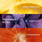 VERB Ghost Shampoo & Conditioner Duo Set