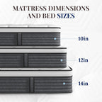CH Charme House Queen Mattress, 14 Inch Hybrid Queen Size, Medium Feel Foam and Individual Pocket Springs, Fiberglass Free Bed Mattress, Extra Edge Support, Pressure Relief, CertiPUR-US