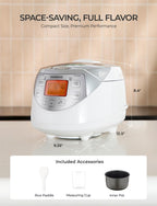 CUCKOO Micom Rice Cooker 6 Cup Uncooked / 12 Cup Cooked, Korean Fuzzy Logic Rice Cooker with Delay Timer & Keep Warm Setting, Versatile Food Steamer with Non-Stick Inner Pot, Silver (CR-0632F)