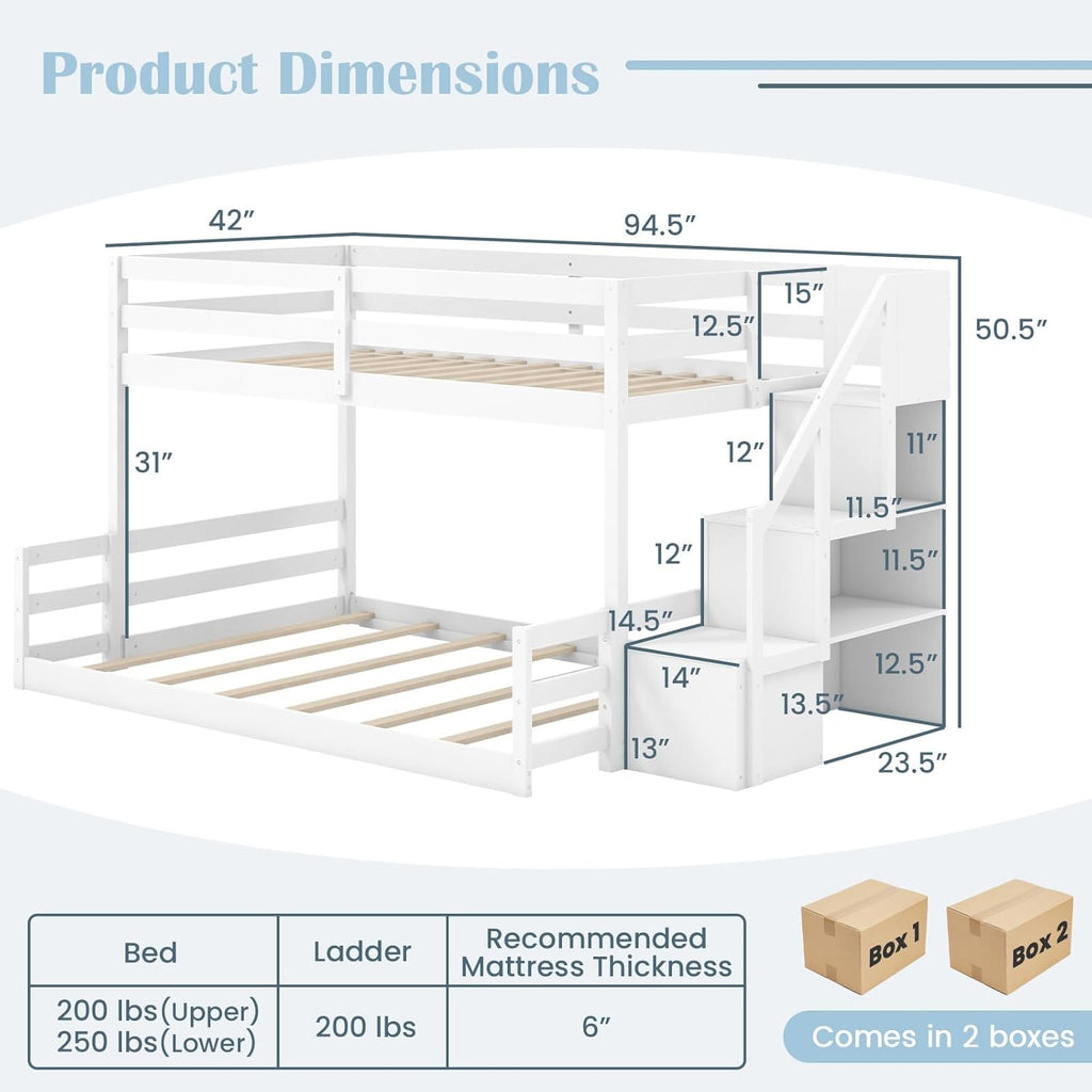 Giantex Twin Over Full Bunk Bed with Stairs, Solid Wood Floor Bunk Bed with Storage Staircase & Full-Length Guardrails, Low Bunk Bed with for Kids, Teens, Adults, Dorm, Small Space, White