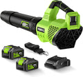 Leaf Blower Cordless, 650CFM Electric Leaf Blowers with 2 x 5.2Ah Batteries and Charger, 3 Speed Modes, 1 x Adjustable Shoulder Strap, Powerful Blowers for Lawn Care, Patio, Dust, Blowing Leaves