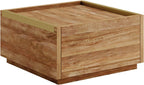 Sauder Manhattan Gate Coffee Table with Storage, Modern Coffee Table, Square Design - Sindoori Mango Finish