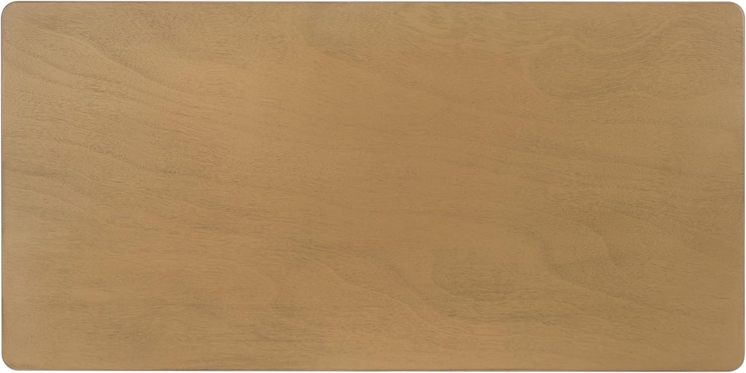 SAFAVIEH Home Collection Haven Desert Brown Coffee Table