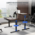 FLEXISPOT Q5 Standing Desk with Drawer, 48 x 24 Inch Electric Adjustable Height Stand Up Desk with Storage Organizer, Whole Piece Wooden Desktop for Home, Office, Computer Workstation, Dark Walnut