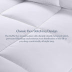 Delara King Duvet Insert – White Cotton Comforter – 100% Organic Cotton Shell and Filled All Season, Breathable, Lightweight with 8 Tabs – GOTS Certified