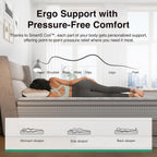 Novilla 12 Inch King Size Mattress in a Box, Hypoallergenic & Back Pain Relief, Hybrid King Mattresses with Smarts Coils, Fiberglass Free CertiPUR-US Certified Colchones No Box Spring Needed