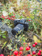 Bundle of OM SYSTEM Olympus E-M10 Mark IV Black Micro Four Thirds System Camera 20MP Sensor 5-Axis Image Stabilization 4K Video Wi-Fi + M.Zuiko Digital 40-150mm F4.0-5.6 R Black  3.75x Zoom Lens