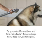 Dyson Ball Animal 3 Extra Upright Vacuum, Corded, 290AW, De-tangling Motorbar Cleaner Head for All Floors, 3 Suction Modes, Specialized pet Tools