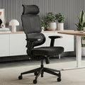 EUREKA ERGONOMIC Lena Mesh Office Chair, Ergonomic Office Chair, High Back Desk Chair with Oversized Headrest, Home Office Desk Chairs for Home & Ofiice, Work Chair, Black