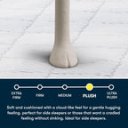 Serta Five Star Mattress Tranquility 10-Inch Plush Pillow Top – Queen – Cooling Gel, Zoned Support, Pressure Relief – Bed-in-a-Box – 100 Night Trial, 10-yr Limited Warranty
