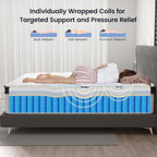 Queen Size Mattresses, 14 Inch Hybrid Queen Mattress in a Box, Medium Firm Memory Foam and Pocket Springs, Strong Edge Support, Pressure Relief