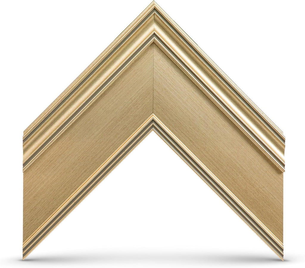 Champagne 65" Premiere Deco TV Frame - Compatible ONLY with Samsung The Frame TV and Pro TVs (Fits 2021-2026  LS03A  LS03B LS03C LS03D LS03FA LS03FW)