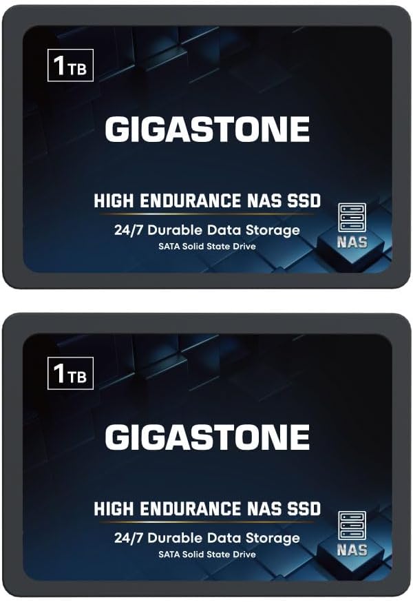 Gigastone 【NAS Certified】 High Endurance SSD 1TB (2-Pack) Up to 550MB/s TLC Flash with SLC Caching 24/7 Reliable for Gaming/PC/NAS SSD 5-Year Warranty 2.5" SATA Internal Solid State Drives RAID Disk