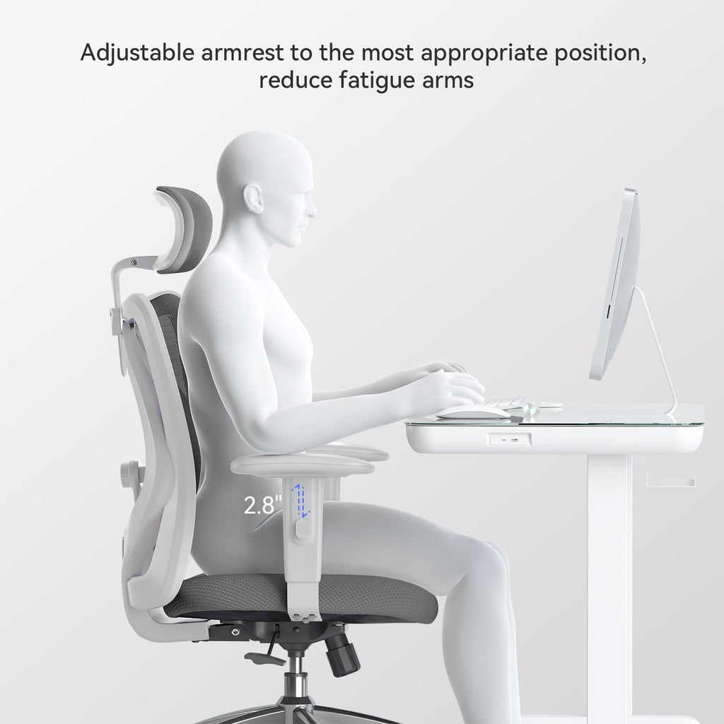 SIHOO M18 Ergonomic Office Chair, Computer Desk Chair with Adjustable Headrest and Lumbar Support, High Back Executive Swivel Chair for Home Office (Dark Gray)