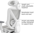 STAPLES Ergonomic Task Chair, Mesh, Ergonomic, Lumbar Support, Gray