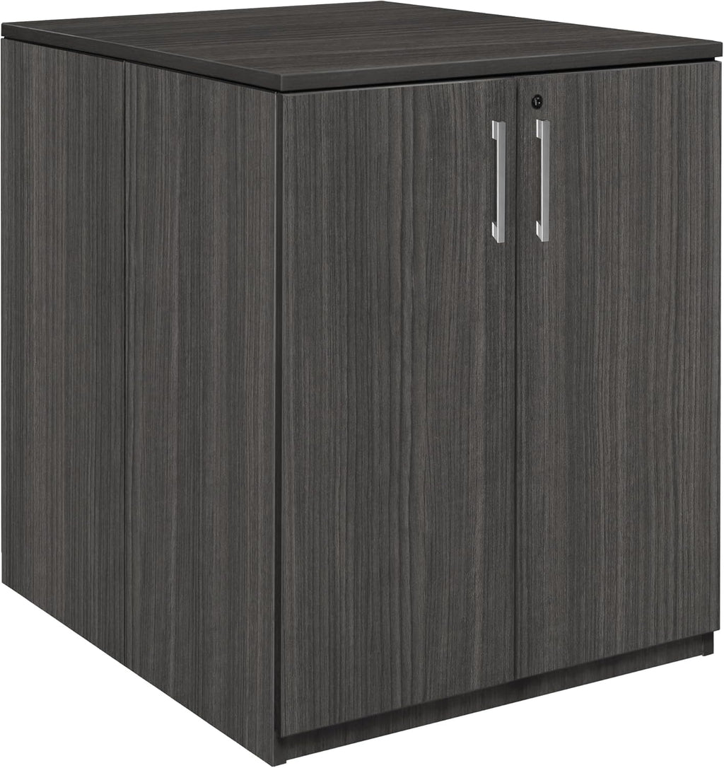 Regency Legacy Stand Up Back to Back Storage Cabinet/Storage Cabinet- Ash Grey