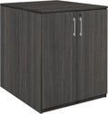 Regency Legacy Stand Up Back to Back Storage Cabinet/Storage Cabinet- Ash Grey