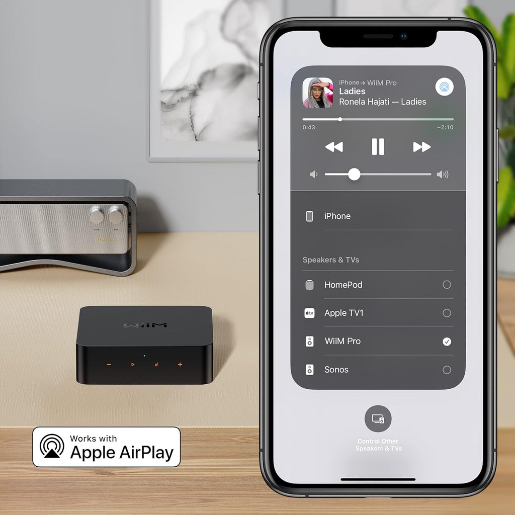 WiiM Pro AirPlay 2 Receiver  Google Cast Audio  WiFi Multiroom Streamer  Compatible with Alexa  Siri and Google Assistant  Stream Hi-Res Audio from Spotify  Amazon Music  Tidal and More