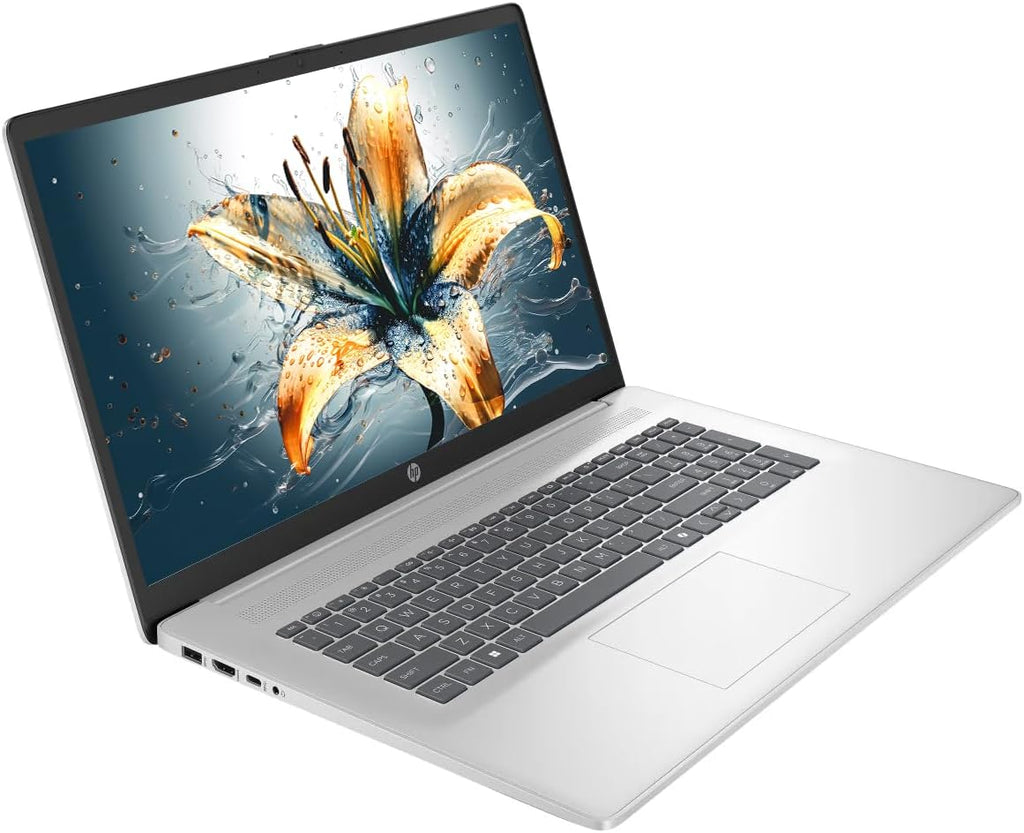 HP 17 Laptop  17.3" HD+ LED Anti-Glare Touchscreen Business Laptop Computer  Windows 11 Laptop 32GB RAM 1TB SSD  AMD Ryzen 5 Processor  AMD Radeon Graphics  Numeric Keypad  NLY Earphones  Silver