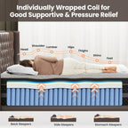 Extra Firm Queen Mattress 12 Inch- Firm Hybrid Mattresses in a Box with Individual Pocket Spring for Motion-Isolation & Pain Relief-Fiberglass Free Bed with 365 Night Trial, CertiPUR-US Certified