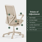 Branch Verve Chair - High Performance Executive Office Chair with Contoured Back and Adjustable Lumbar Support - High Density Foam Cushion and 3D Knit Back - Fits 5' to 6', Up to 275 lbs, Wheat
