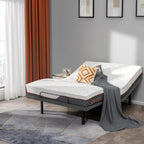 ESHINE Adjustable Bed Frame Smart Bed Queen - Quick 5 Min Installation, Electric Base with Massage, Ergonomic Foot & Head Incline, Zero Gravity, Dual USB Ports, Under Bed Light