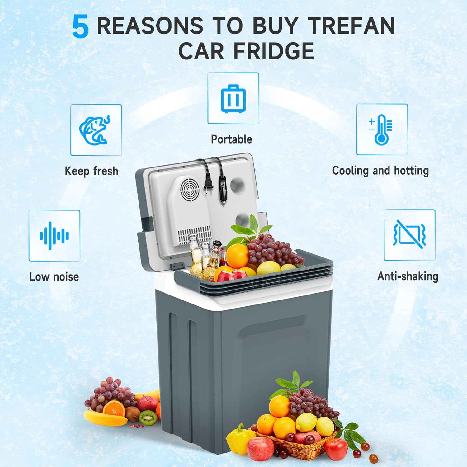 25L Portable Electric Cooler & Warmer, Small Refrigerator with Handle, 110V AC and 12V DC Car Fridge, Camping/Outdoor/Travel Cooler for Vehicles & Trucks, Grey