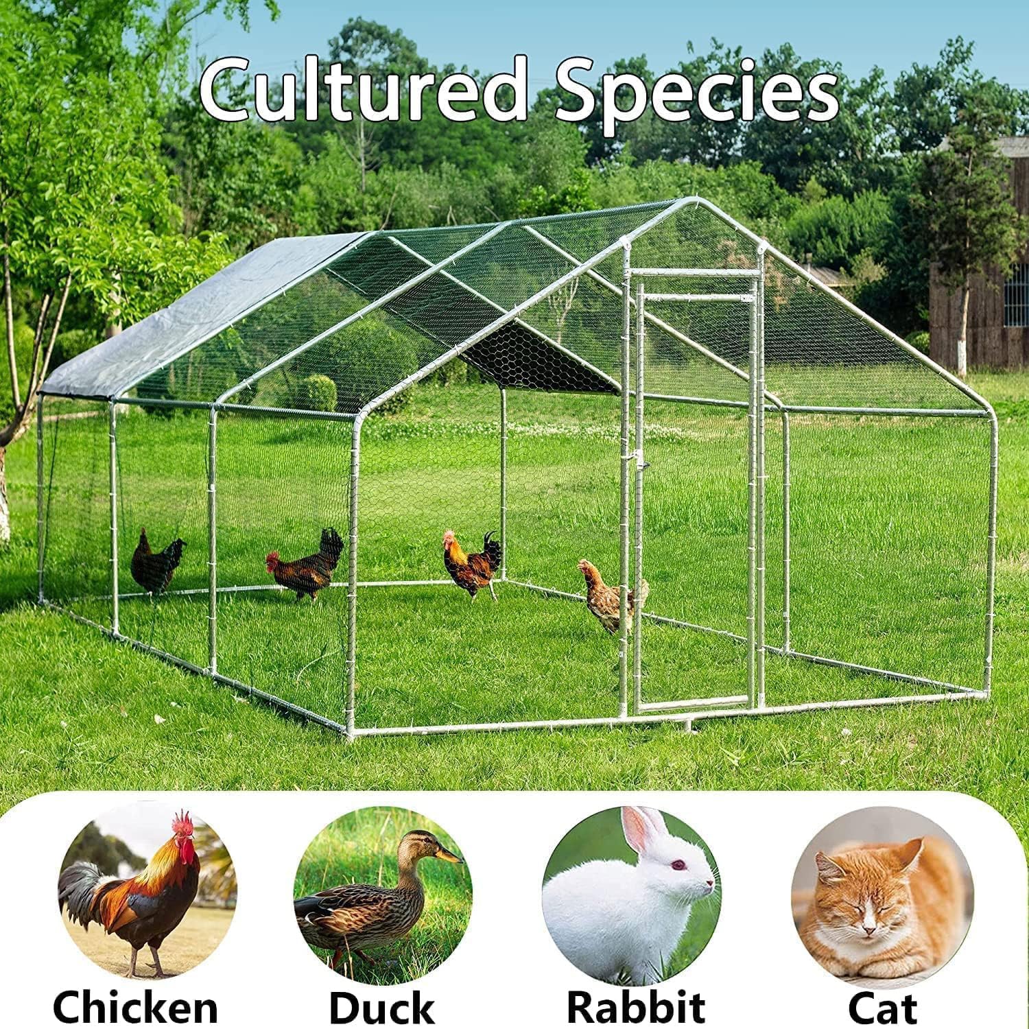 HITTITE Large Metal Chicken Coop with Run  19.19 x 9.84 x 6.56 ft Walk in Poultry Cage Chicken Run Pen  Outdoor Chicken Runs for Yard with Waterproof & Anti-UV Cover