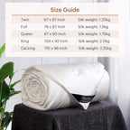 LilySilk All Season 100% Silk Comforter with Silk Shell Duvet, Queen(87x90 Inch,Net Weight:1.75kg)