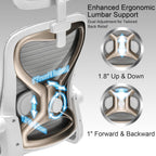 Home Office Desk Chairs, Ergonomic Office Chair with Lumbar Support & 3D Headrest, Computer Desk Chair with Flip-up Armrests, Perfect for Office or Study, Gray/Gold