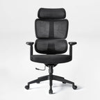 EUREKA ERGONOMIC Lena Mesh Office Chair, Ergonomic Office Chair, High Back Desk Chair with Oversized Headrest, Home Office Desk Chairs for Home & Ofiice, Work Chair, Black