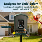 Bird Feeder with Camera  4K Ultra HD Video with 30fps Live View  10x Slow Motion  No Subscription  Solar Powered AI Smart Bird Feeder with Camera  2.4G/5G Wi-Fi  Durable Metal Bird Lover Gift