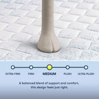 Serta Sleeptrue Medium 12" Queen Hybrid Mattress in a Box, Cooling, Breathable, and Pressure Relieving - 100 Night Trial, CertiPUR-US Certified and 10 Year Limited Warranty