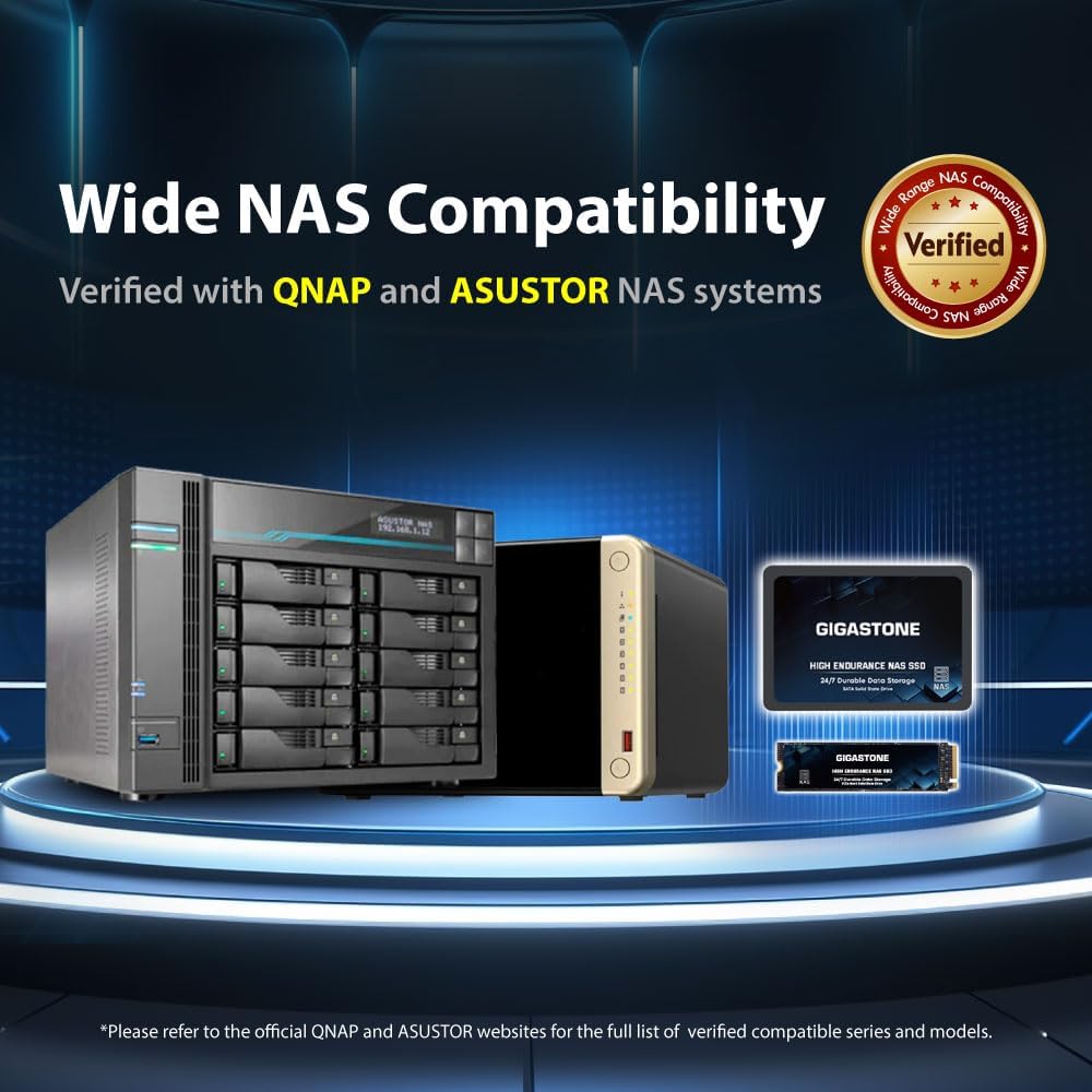 Gigastone 【NAS Certified】 High Endurance SSD 1TB (2-Pack) Up to 550MB/s TLC Flash with SLC Caching 24/7 Reliable for Gaming/PC/NAS SSD 5-Year Warranty 2.5" SATA Internal Solid State Drives RAID Disk