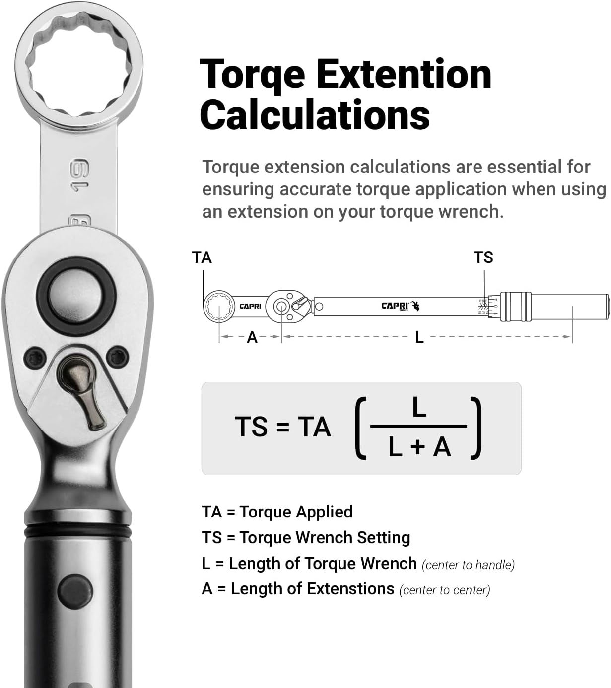 Capri Tools 3/8 in. Drive Torque Adapter Set, 12-Point Box End, 10 to 19 mm, Metric, 10-Piece with Mechanic's Tray