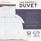 Lincove Canadian Down Comforter – Extremely Soft and Lightweight Duvet Insert – Corner Loops in Each Corner, 600 Thread Count - 100% Cotton Sateen Shell, Queen