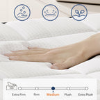 Queen Size Mattresses, 14 Inch Hybrid Queen Mattress in a Box, Medium Firm Memory Foam and Pocket Springs, Strong Edge Support, Pressure Relief