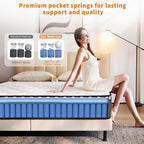 12 Inch Mattress,Medium Firm Hybrid Memory Foam & Pocket Springs for Pressure Relief CertiPUR-US Certified Fiberglass Free, 500 Night Trial (12 inch, Queen)