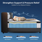 14-Inch Queen Size Mattress - Hybrid Medium Firm Queen Mattress Memory Foam CertiPUR-US Certified Innerspring Pressure Relief Motion Isolation Matress in a Box