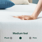 Zinus 12 Inch Green Tea Cooling Memory Foam Mattress New Version, Queen, Fiberglass Free, Medium Firmness, Cooling Gel Foam, Certified Safe Foams & Fabric, Mattress in A Box