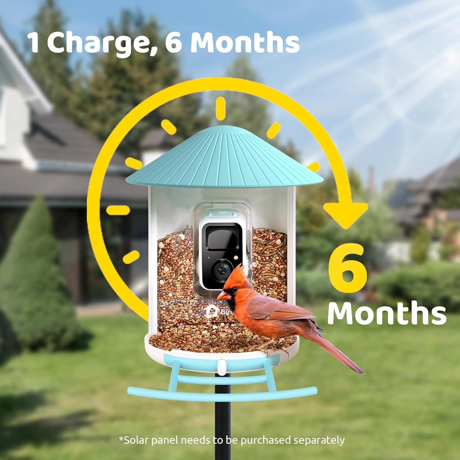 NETVUE by Birdfy Smart Bird Feeder with Camera Solar Power  Smart AI Birdwatching Camera  Auto Capture & Notify  Clear Day & Color Night Video & Pictures  Ideal Gift for Lover