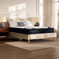 DreamCloud Classic 12" Queen Mattress - Memory Foam - 365 Night Trial - Back Pain Relief - Fiberglass Free - Forever Warranty - Mattress in a Box - CertiPUR-US® Certified