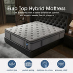Extra Firm Queen Mattress,12 Inch Queen Mattress for Back Pain with Gel Memory Foam - Extra Lumbar Support & Shoulder Support,CertiPUR-US Certified,Edge Reinforcement,Fiberglass Free - No Odor